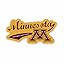 Minnesota Golden Gophers Distressed