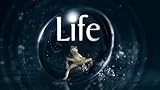 Life