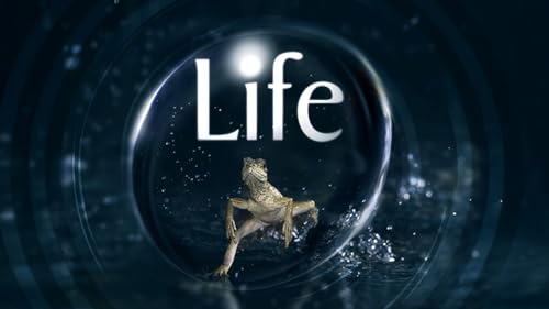 Life