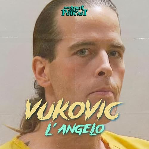 S08 E08 Il Caso Vukovic - L'angelo copertina