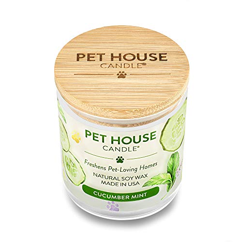 One Fur All, Pet House Candle - 100% Soy Wax Candle - Pet Odor Eliminator For Home - Non-Toxic And Eco-Friendly Air Freshening Scented Candles (Pack Of 1, Cucumber Mint) #TOP3