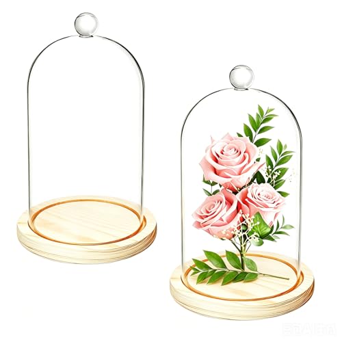 Lyellfe 2 Pack Cloche Glass Dome, 8'' x 5'' Dome...