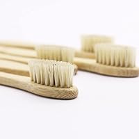 Vista 4 de Cepillo de dientes de bambú con cerdas de jabalí 100% biodegradable y natural, 8 piezas en un paquete