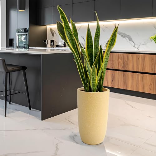 Image of YUCCABE ITALIA FOXB TPC 24 INCH Pots for Plants Highly Durable Polymers Lightweight Indoor Outdoor Plant Pots, Flower Pot Gamla Tree Planter Container Planters for Living Room, Balcony, Garden