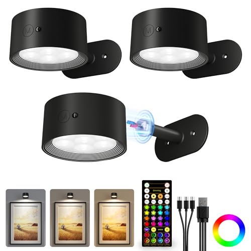 AMETHEUS Picture Lights for Wall 2000mAh Rechargeable Magnetic Art Lights with 3 Color Temps & RGB Remote Dimmable Battery Operated Wall Light for Bedroom Living Room Gallery (Black 3 Pack)