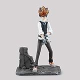 DMCMX Hitman Reborn!Abbildung Sägeadada Tsunayoshi Reborn Anime Game Charakter Modell Boxed Statische Charakter Desktop Dekoration Höhe Etwa 19cm Chassis Room Decoration