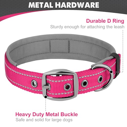 Joytale Halsband Hund, Weich Hundehalsband Gepolstert Neopren Hunde Halsband für Kleine Hunde, Nylon Reflektierend Breit Halsbänder, Leuchtend Rosa