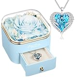 NEWNOVE Rosa azul claro preservada con collar azul claro, regalos de Navidad para mujeres, mamá, novia, abuela, regalos de aniversario de cumpleaños para ella
