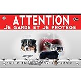Pancarte plastique Attention au chien mini berger australien