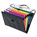 Pendaflex Desk Free Hanging Organizer with Case, Letter Size, Black with Bright Colors (52891)