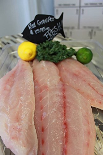 Black Grouper Fillet, 1 Pound
