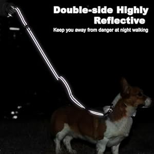 6 Foot Purple Dog Leashes for Large Medium and Small Breed Dogs That Pull,Reflective Nylon Heavy Duty Dog Leash with 2 Comfortable Padded Traffic Handles and Car Seat Belt for Walking and Training