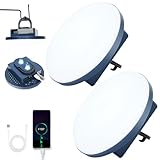 12000mAh 5000LM Camping Lights 2Pack, 42W Tent...