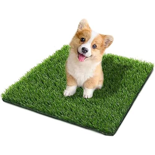 SSRIVER 50*60CM Hundeklo für Zuhause & Hundetoilette Balkon Welpen Training Hundetoilette Ersatzrasen mit Kunstrasen Outdoor Ideal für Wohnung & Balkon