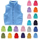 Kleinkind Kinder Fleeceweste Unisex Jungen Mädchen Fleece Weste Outdoor-Oberteil Stehkragen Ärmellose Jacke Polar Fleece Reißverschluss Weste Solide Eltern-Kind Leichte Oberteile Oberbekleidung