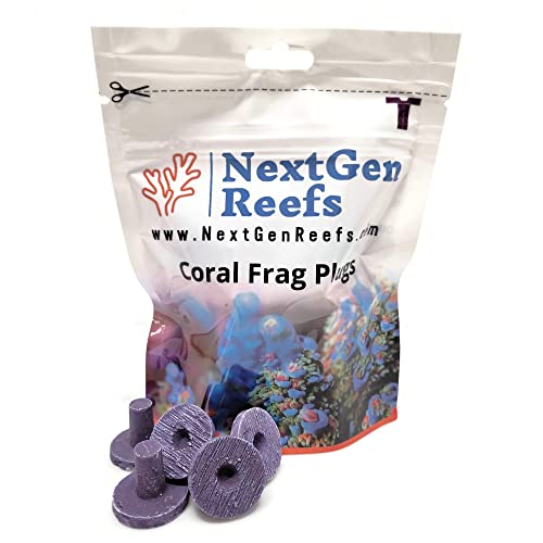 NextGen Reefs&reg; 1' Ceramic Coralline Purple Coral Frag Plugs 25pc