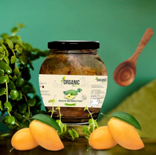 Image of Organic Anand Homemade Seedless Hing Mango Pickles 350gram Oil-free Traditional Khatta Aam ka Achar, No preservative