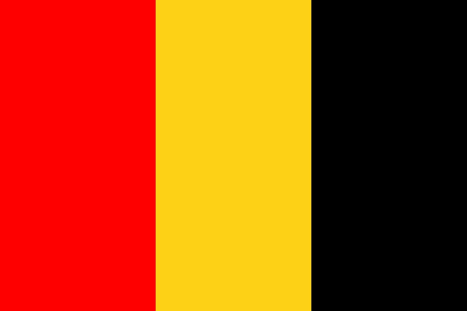 Drapeau Besançon grand format 1.35m² pour mât et pavillon extérieur