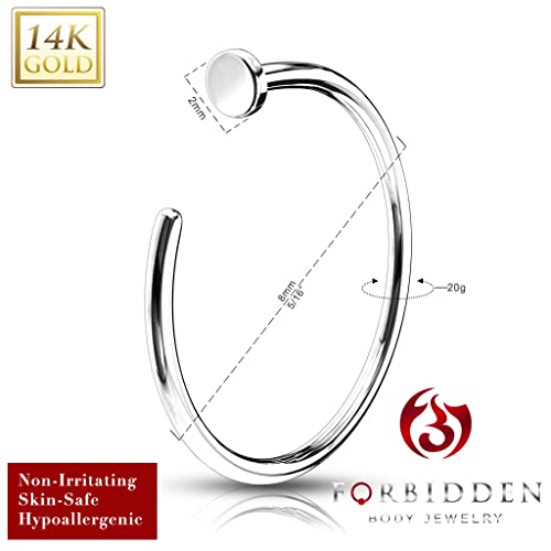 Forbidden Body Jewelry 14K Gold Nose Ring, Solid 8mm Hoop, Non-Irritating Skin Safe Real Gold, Women and Men2
