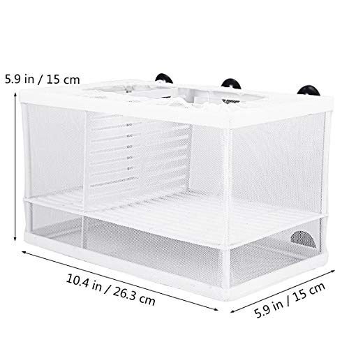 Grande Serbatoio di Pesce Vivaio Allevatore