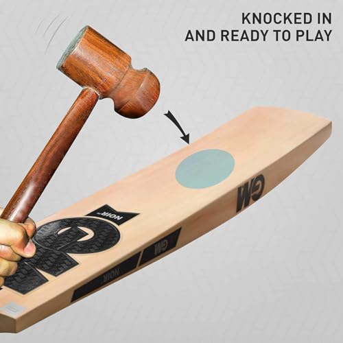 Image of GM Noir 333 English Willow Cricket Bat for Men and Women | Full Size | Short Handle | Lightweight | Free Cover