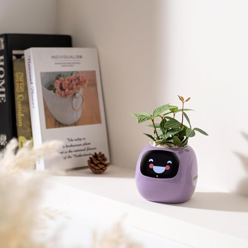 AI Home Assistant Robot Companion