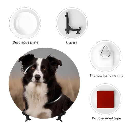 Assiette Border Collie déco salon et bureau avec son support