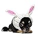 Zoo Snoods Bunny Dog Costume - Neck and Ear Warmer Headband for Pets (Small)
