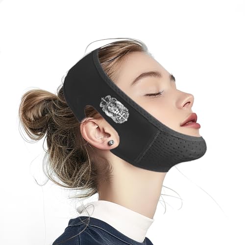 Yuibthr pXgbvAVCteBO}XNAėp\ȃtFCXXgbvA{̃GNTTCU[(ubN-12)