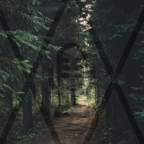 『Viaje Alternativo - 47 - Por el monte con un agente forestal』のカバーアート