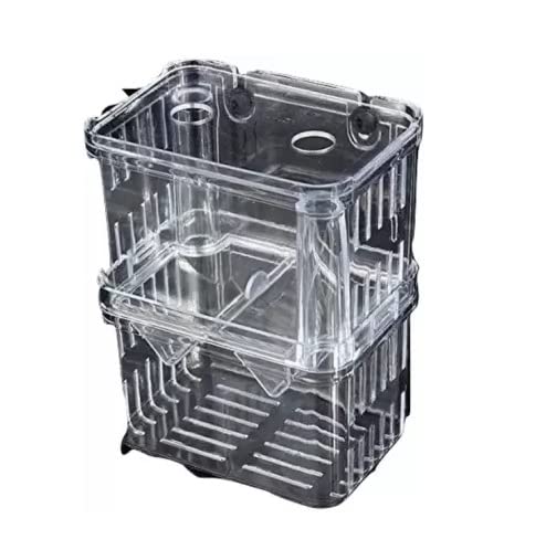 See full amazon price history chart for SANSEFERO® Breeding Box Isolation Box Fish Tank Aquarium Breeder Box Double Guppies Incubator Aquarium Rectangle Aquarium Tank (13.5cm x 7.5 cm x 10.5 cm) SANSEFERO® Breeding Box Isolation Box Fish Tank Aquarium Breeder Box Double Guppies Incubator Aquarium Rectangle Aquarium Tank (13.5cm x 7.5 cm x 10.5 cm) (B0BHKWSRLB) Amazon Price History, Amazon Price Tracker