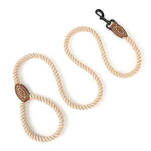 Mile High Life Dog Leash | Braided Cotton Rope Dog Leashes with Leather Tailor Tip | 4 Feet Dog Leash W Heavy Duty Metal Clasp | Wedding Dog Leash light Brown 48 Inches  Cucciolini Doodles Mile high life dog leash | braided cotton rope dog leashes with leather tailor tip | 4 feet dog leash w heavy duty metal clasp | wedding dog leash light brown 48 inches   cucciolini doodles