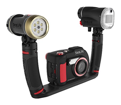 Sealife DC2000 Pro Duo (w/Sea Dragon Flash and 2300 Auto Light)