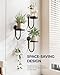 Bamworld Hanging Planters for Indoor Plants Wall Plant Holder Plant Hanger Indoor Wall Planters Window Plant Shelves Hanging Plant Holder Window Plant Hanger Plant Decor Black 3pcs