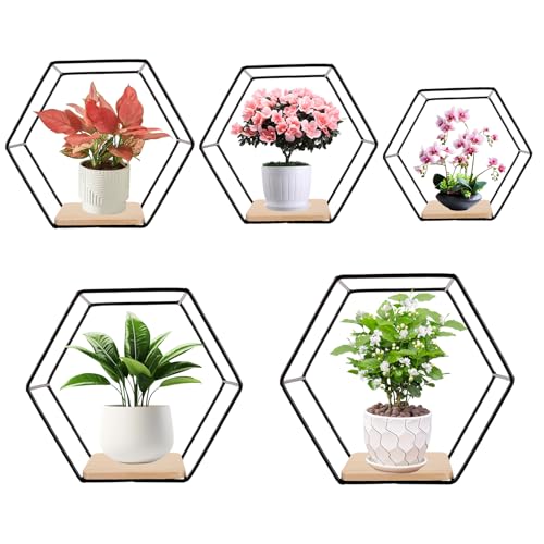 SHUESS Juego de 5 estantes hexagonales de metal negro para colgar en la pared, color negro, para decoración de pared en salón, dormitorio, baño, cafetería y hotel