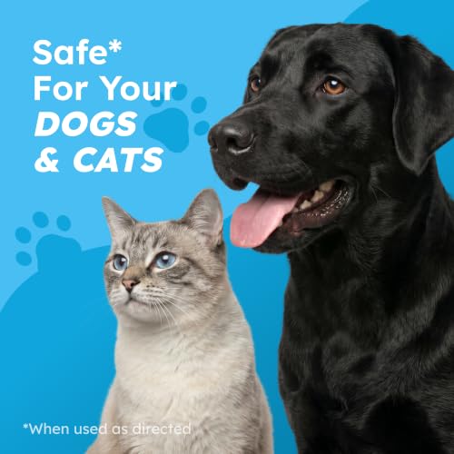 Image of BugMD Flea and Tick Spray for Dogs and Cats - Kills & Repels on Contact - Plant-Powered Flea Treatment for Home, Furniture & Carpet | Makes 32 oz
