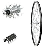 Das Laufrad ist eingespeicht und sauber zentriert