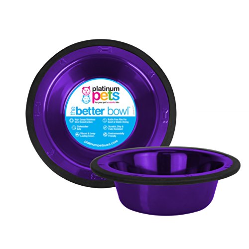 Platinum Pets Switchin Stainless Steel Cat/Dog Bowl, Electric Purple, Large #TOP12