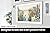 Samsung 65-Inch Class QLED 4K The Frame LS03B Series, Quantum HDR, Art Mode, Anti-Reflection Matte Display, Slim Fit Wall Mount Included, Smart TV w/Alexa Built-in (QN65LS03BAFXZA)