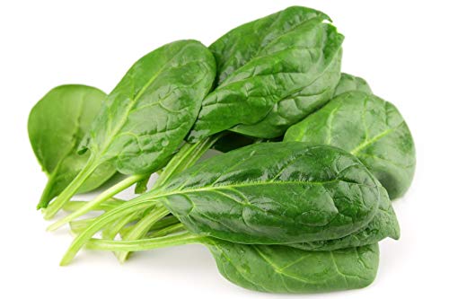 Raise Me Up: Seeds Sorrel Large Broad Leave Green Non Gmo Heirloom 2000 Seeds #TOP4