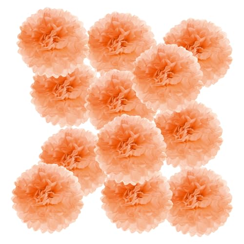 PATIKIL Pompons en Papier Soie 10cm x 10cm, Kit de 12 Boules Fleurs à Suspendre pour Décoration Fête Mariage Enterrement de Vie de Célibataire Anniversaire Baptême...