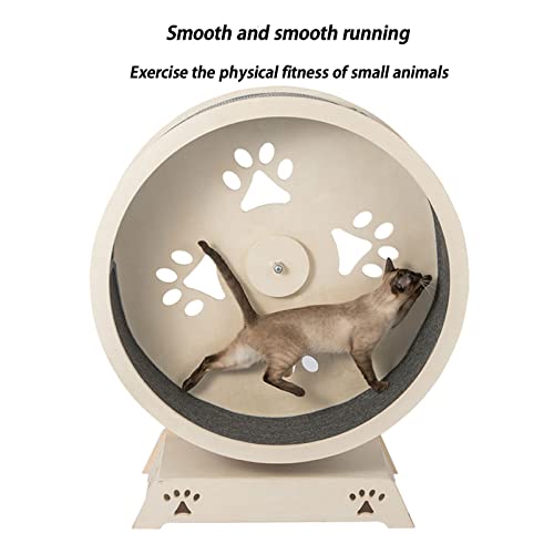 Tapis de course pour chat et petits animaux structure haut de gamme - 3