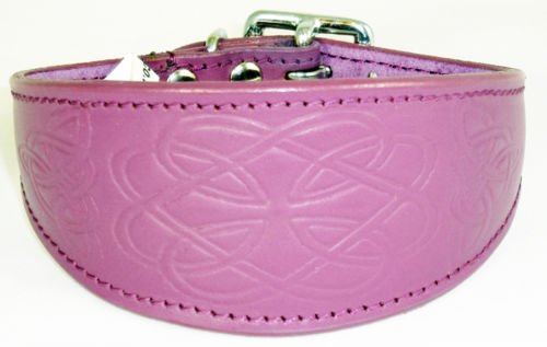 Leather Padded Hound Collar With Celtic Design (16-20, Purple)