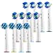 Pearl Enterprises Replacement Brush Heads Compatible With Oral B Braun- Pack Of 12 Electric Toothbrush Assorted Heads Fits Many Bases - Try Them All, You'll Find Your Favorite!
