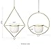 Mkono 2 Pcs Mini Hanging Planter Vase Set, 3.5