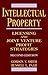 Intellectual Property: Licensing and Joint Venture Profit Strategies (Intellectual Property Series)