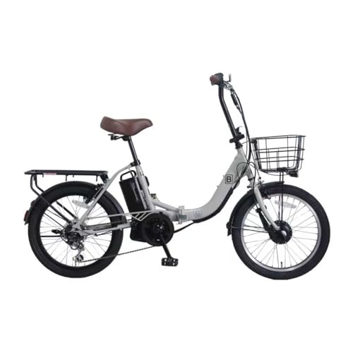 【Amazon.co.jp限定】20インチ 折りたたみ 電動アシスト自転車 シマノ外装6段変速 前後キャリア付き 砲弾型LEDライト TDN-213L (カゴあり, グレイ)