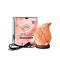POHS USB Himalayan Mini Leaf Salt Lamp, 7 Color Changing LED Bulb, Hand Crafted Crystal Rock Salt Night Light for Home Decor, Desk, and Gift | Premium Quality Wood Base and USB Cable