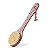 Tradition Craft Dry Skin Body Brush with Long handle 15inch for Bath, Shower-Natural Plant Bristle, Beech Wood-Remove Dead Skin, Body Scrubber