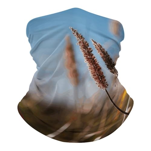 Balaclava para cuello y cara transpirable, cortavientos y protector contra el polvo, ideal para otoño, verano y actividades al aire libre, para hombre y mujer miniatura 6